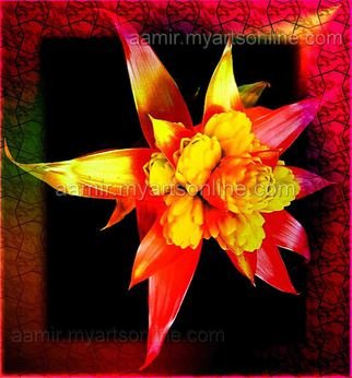 Andrew Young: 'Royal Red Flower CANVAS very colorful', 2012 Mixed Media, Botanical.    This art will add a great beauty to your home, office or work place. This piece of art will come without frame. 8. 27
