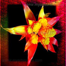 Royal Red Flower CANVAS very colorful By Andrew Young