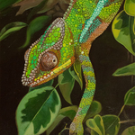 chameleon portrait By Yue Zeng