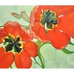 tulips By Anastasia Zakharova