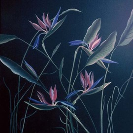Terry Zarate: 'birds of paradise', 1995 Oil Painting, Floral. Artist Description: Not many flowers are more beautiful than the Birds of Paradise.  They are slightly flamboyant and elegant at the same time.  They probably inspire every artist to paint them. ...