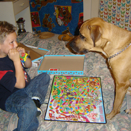 Rickie Dickerson: 'Can I be Green', 2006 Color Photograph, Family. Artist Description: As you can see, we have a very smart dog. . . and he loves playing with his boy! ...