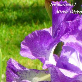 Rickie Dickerson: 'Iris Portrait I', 2006 Color Photograph, Floral. 