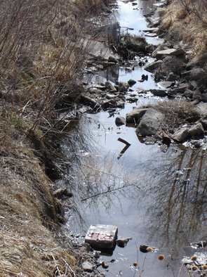 Rickie Dickerson: 'Sad Prophecy', 2007 Color Photograph, Activism.   Walking along a river trail in beautiful Colorado. . . crossing over an nice little bridgeI was taken so by surprise when I saw this I just sobbed. . . So terribly prophetic, how did it get there?   ...