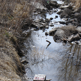 Rickie Dickerson: 'Sad Prophecy', 2007 Color Photograph, Activism. Artist Description:   Walking along a river trail in beautiful Colorado. . . crossing over an nice little bridgeI was taken so by surprise when I saw this I just sobbed. . . So terribly prophetic, how did it get there?   ...
