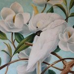 parrot with magnolias By Marsha Bowers