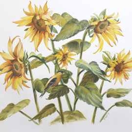 Marsha Bowers: 'sunflowers', 2021 Oil Painting, Floral. Artist Description: Original oil painting on Bristol Paper...