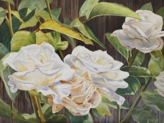 Marsha Bowers: 'white garden roses', 2023 Oil Painting, Floral. This painting was inspired from a photo I took in my garden of white roses. ...