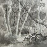 FOREST STREAM By Dana Zivanovits