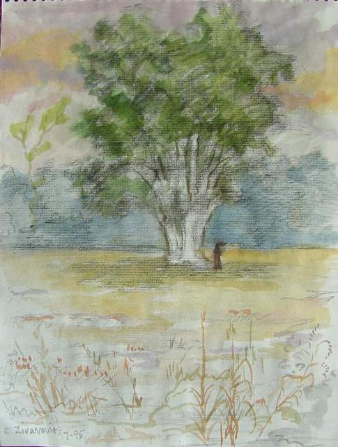 Artist Dana Zivanovits. 'OLD OAK TREE' Artwork Image, Created in 1995, Original Painting Other. #art #artist