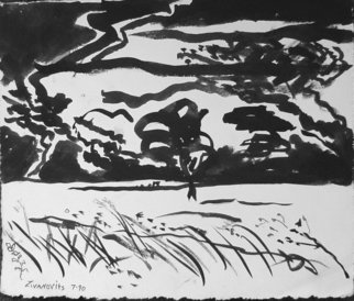 Dana Zivanovits: 'SUDDEN STORM', 1990 Ink Painting, Landscape. Artist Description:   India ink on acid free, rag paper- a signed and dated Zivanovits original. Note ; Paper is white despite photo....