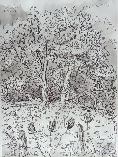 Dana Zivanovits  'TREES IN FIELD', created in 2004, Original Painting Other.