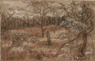 Dana Zivanovits: 'WINTER FIELD', 2009 Pastel, Landscape.      This pastel was done on all rag acid free toned pastel paper.     ...