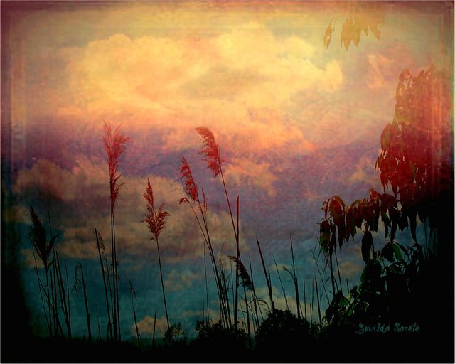 Zunilda Sarete  'Brooklyn Sky III', created in 2010, Original Photography Other.