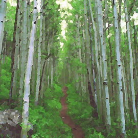 Steve Tohari: 'aspen trail 1', 2018 Color Photograph, Abstract Landscape. Artist Description: Aspen Trail above Vail, Colorado. Early Summer. Photograph edited for painted, abstract effect. Aspen trees, Vail, Colorado, trail, forest, nature, hike...
