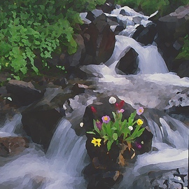 Steve Tohari: 'bouquet 1', 2018 Color Photograph, Abstract Figurative. Artist Description: Wildflowers, cascades above Montezuma, Colorado. Flowers grew naturally on rock. Colorado, wildflowers, stream, cascades, rushing water...