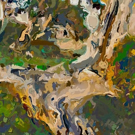 bristlecone pine detail By Steve Tohari