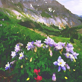 Steve Tohari: 'columbine 1', 2018 Color Photograph, Landscape. Artist Description: Columbine, San Juan Mountains above Ouray, Colorado. Columbine, Colorado, Ouray, San Juan Mountains, wildflowers, Yankee Boy Basin...