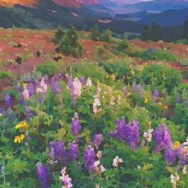Steve Tohari: 'wildflowers crested butte 1', 2018 Color Photograph, Landscape. Artist Description: Lupine near Crested Butte, Colorado. Photograph edited for painted effect. Colorado, Crested Butte, wildflowers, Lupine...