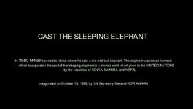 Artist Video CAST THE SLEEPING ELEPHANT by Mihail Simeonov