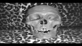Artist Video Skulls by Tom Curtis